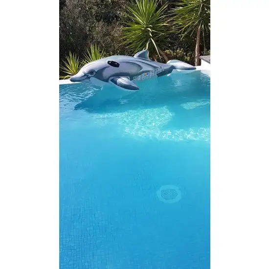 anti algue bidon 5 L