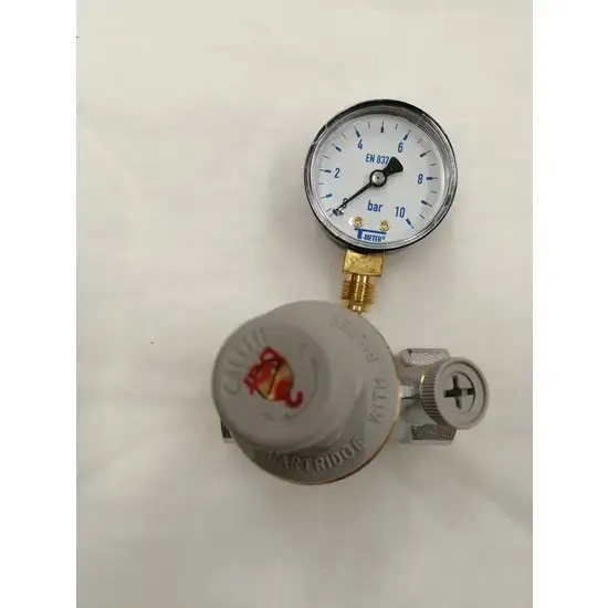 1244 6 reducteur de pression 3 4 avec manometre r53320m 1734015624