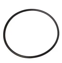 joint torique pour bol  filtre  eau standard