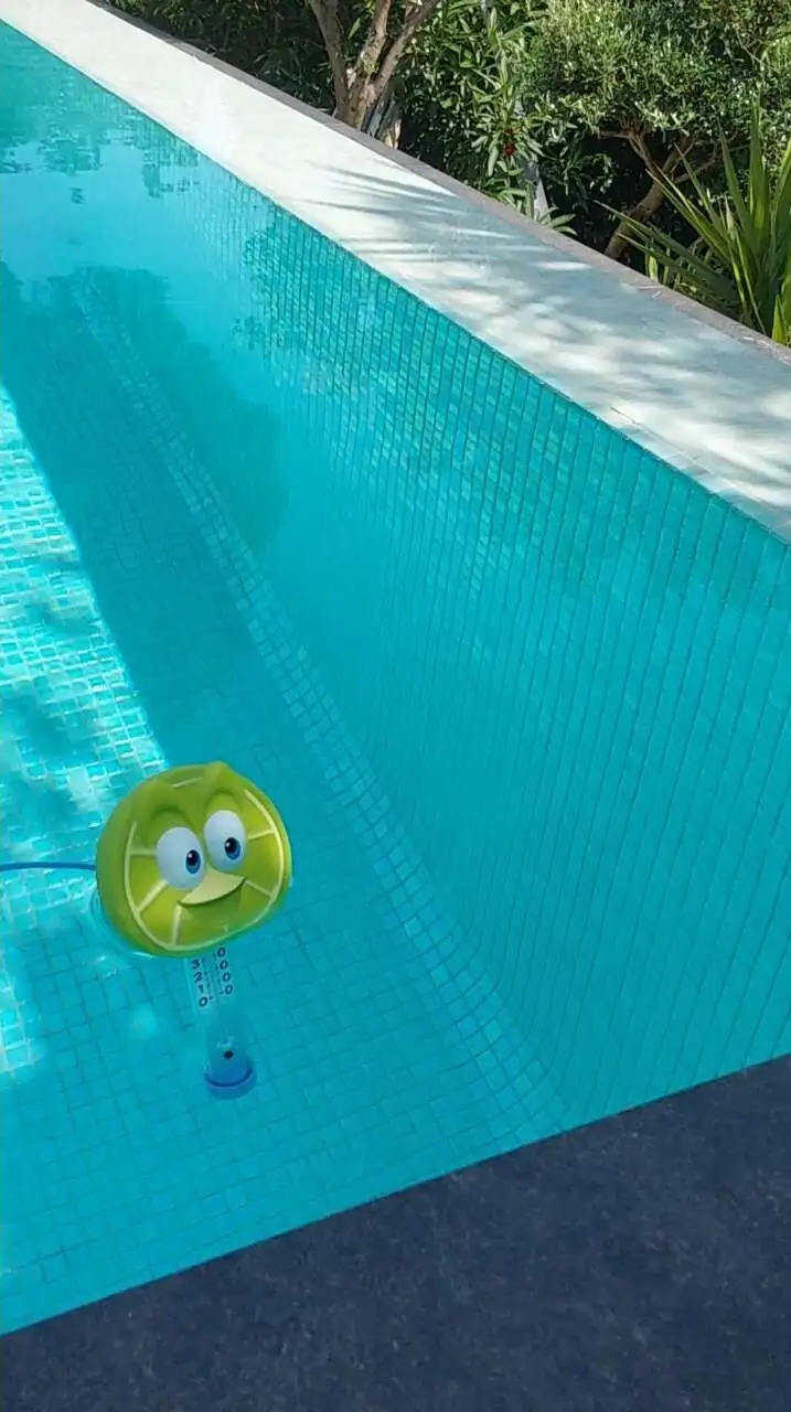 Thermomtre piscine fruit aux choix