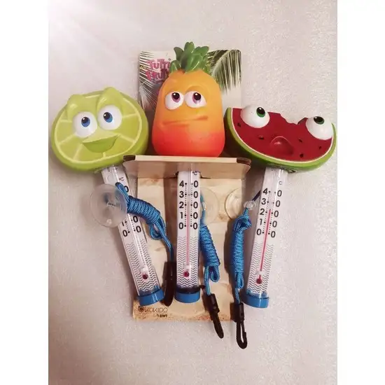 1398 3 thermometre piscine fruit aux choix 1734015704