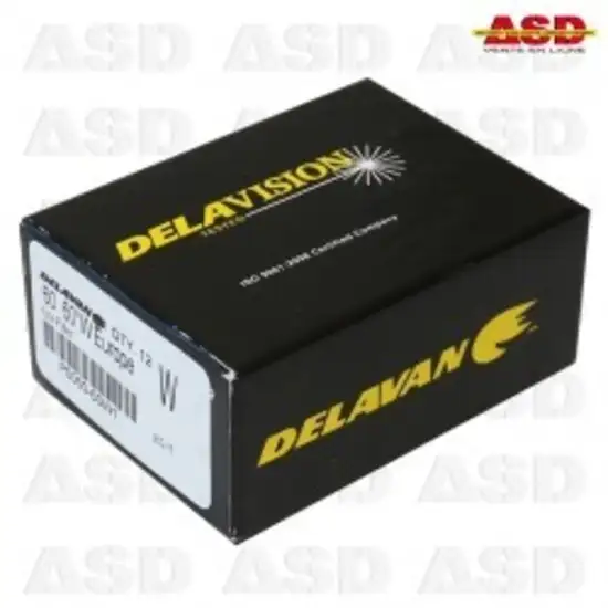 161 6 gicleur delavan 0 60 60w 1734015714