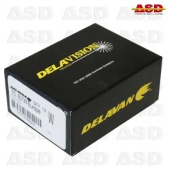 164 6 gicleur delavan 0 75 60w 1734015715