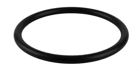 Joint torique de raccord vase pour la gamme Evo et Xp - Sterilor