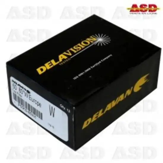 169 4 gicleur delavan 0 60 80w 1734015716