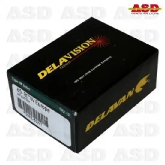 170 6 gicleur delavan 0 65 80w 1734015717
