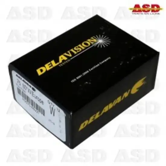 171 6 gicleur delavan 0 75 80w 1734015717