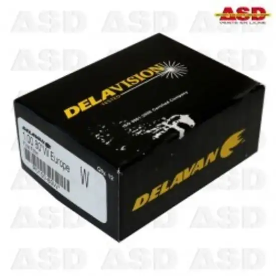 173 6 gicleur delavan 1 00 80w 1734015718