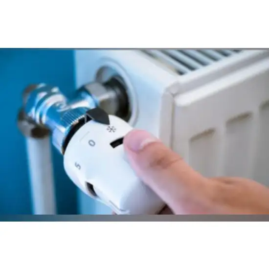 398 6 tete thermostatique a bulbe liquide 1734015752