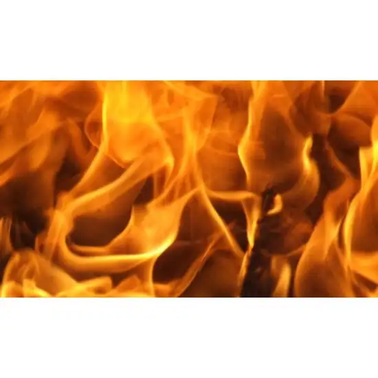 613 6 aerosol stop flamme pour depart de feu 1734015771