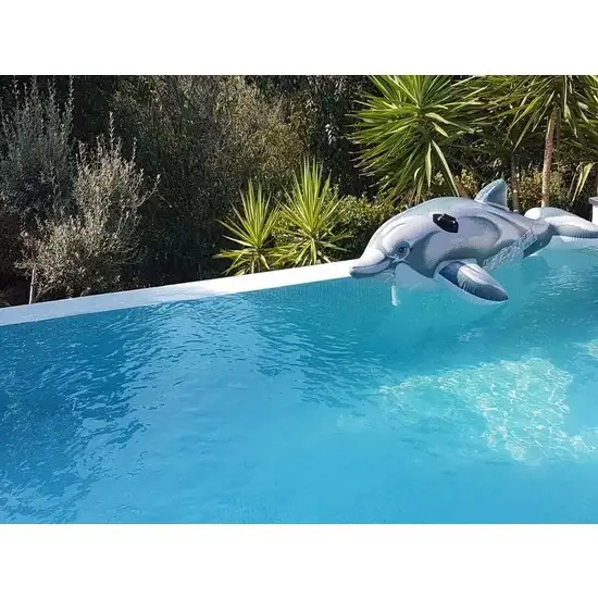 674 3 balai brosse piscine 1734015776